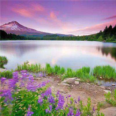 幸运28手机app下载